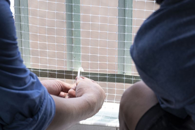 Bird Netting Installation