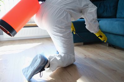 Fumigation Service in Asheville, NC